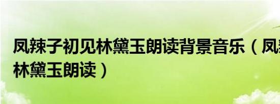 凤辣子初见林黛玉朗读背景音乐（凤辣子初见林黛玉朗读）