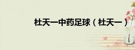 杜天一中药足球（杜天一）