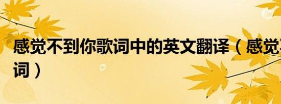 感觉不到你歌词中的英文翻译（感觉不到你歌词）