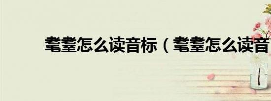 耄耋怎么读音标（耄耋怎么读音）