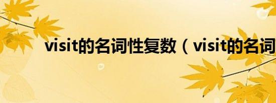 visit的名词性复数（visit的名词）