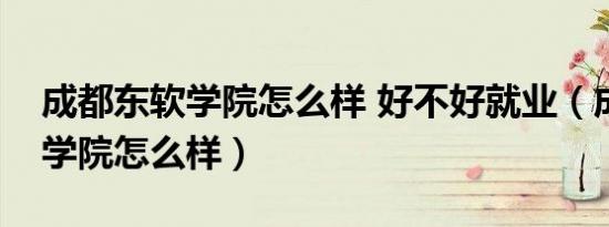成都东软学院怎么样 好不好就业（成都东软学院怎么样）