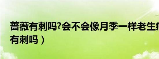 蔷薇有刺吗?会不会像月季一样老生病（蔷薇有刺吗）