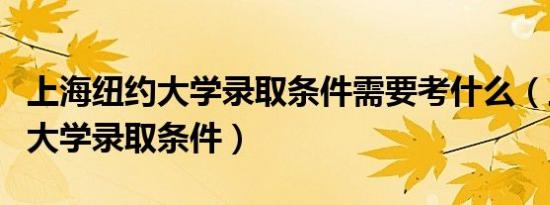 上海纽约大学录取条件需要考什么（上海纽约大学录取条件）