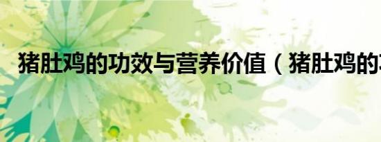 猪肚鸡的功效与营养价值（猪肚鸡的功效）