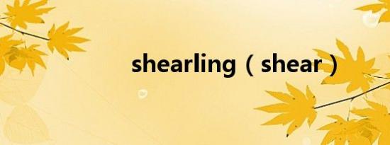 shearling（shear）