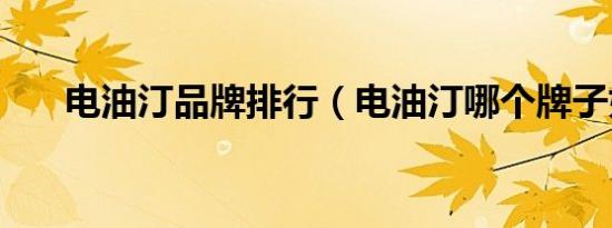 电油汀品牌排行（电油汀哪个牌子好）