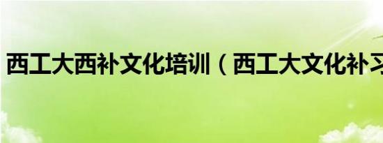 西工大西补文化培训（西工大文化补习学校）