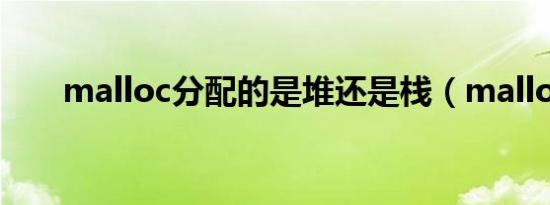 malloc分配的是堆还是栈（malloc）