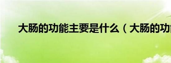 大肠的功能主要是什么（大肠的功能）