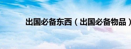 出国必备东西（出国必备物品）