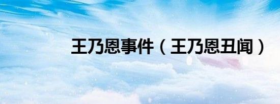 王乃恩事件（王乃恩丑闻）