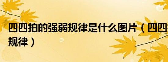四四拍的强弱规律是什么图片（四四拍的强弱规律）