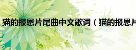 猫的报恩片尾曲中文歌词（猫的报恩片尾曲）