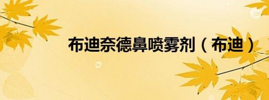 布迪奈德鼻喷雾剂（布迪）