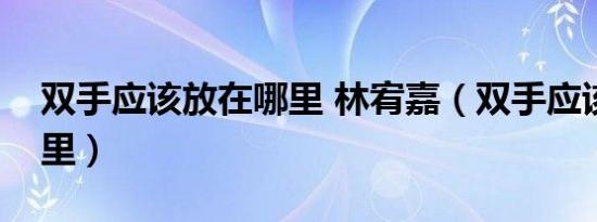 双手应该放在哪里 林宥嘉（双手应该放在哪里）