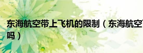 东海航空带上飞机的限制（东海航空飞机敢坐吗）