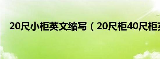 20尺小柜英文缩写（20尺柜40尺柜英文）