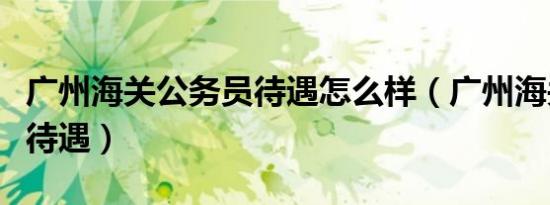 广州海关公务员待遇怎么样（广州海关公务员待遇）
