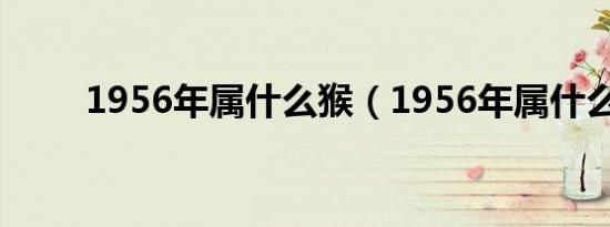 1956年属什么猴（1956年属什么）