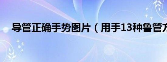 导管正确手势图片（用手13种鲁管方法）