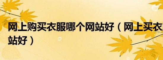 网上购买衣服哪个网站好（网上买衣服哪个网站好）