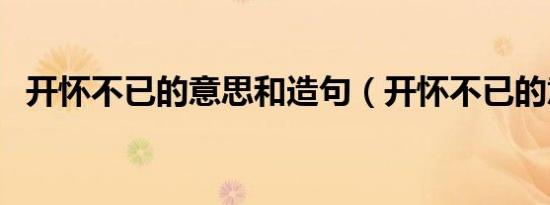 开怀不已的意思和造句（开怀不已的意思）