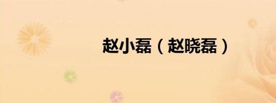赵小磊（赵晓磊）