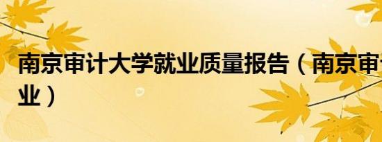 南京审计大学就业质量报告（南京审计大学就业）