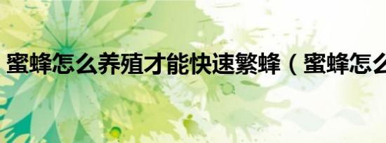 蜜蜂怎么养殖才能快速繁蜂（蜜蜂怎么养殖）
