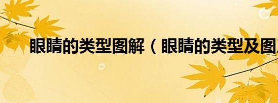眼睛的类型图解（眼睛的类型及图片）