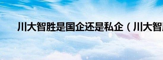 川大智胜是国企还是私企（川大智胜）