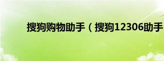 搜狗购物助手（搜狗12306助手）