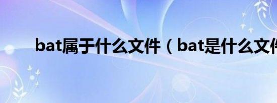 bat属于什么文件（bat是什么文件）