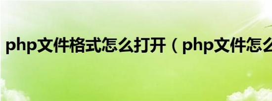 php文件格式怎么打开（php文件怎么打开）