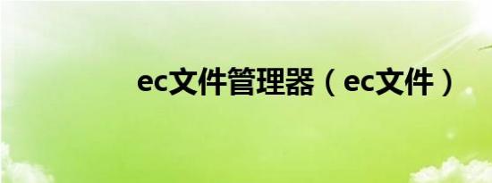 ec文件管理器（ec文件）