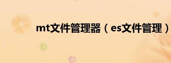 mt文件管理器（es文件管理）