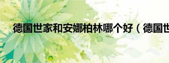 德国世家和安娜柏林哪个好（德国世家）