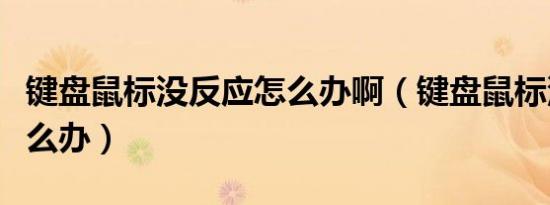 键盘鼠标没反应怎么办啊（键盘鼠标没反应怎么办）