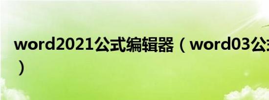 word2021公式编辑器（word03公式编辑器）