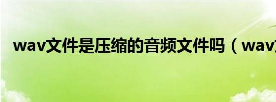 wav文件是压缩的音频文件吗（wav文件）