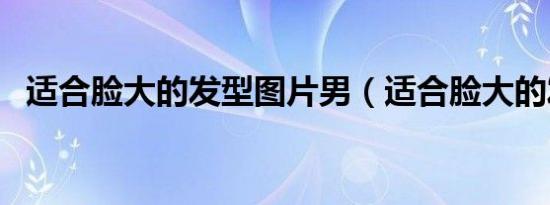 适合脸大的发型图片男（适合脸大的发型）