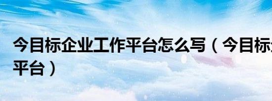 今目标企业工作平台怎么写（今目标企业工作平台）