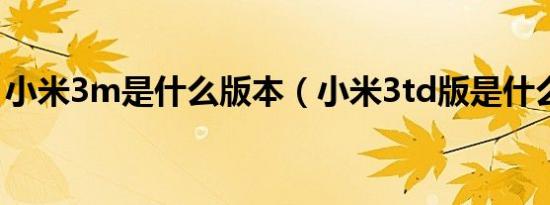 小米3m是什么版本（小米3td版是什么意思）