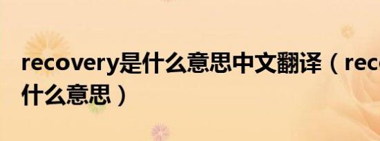 recovery是什么意思中文翻译（recovery是什么意思）