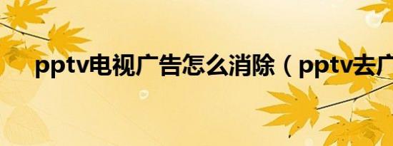 pptv电视广告怎么消除（pptv去广告）