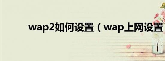 wap2如何设置（wap上网设置）