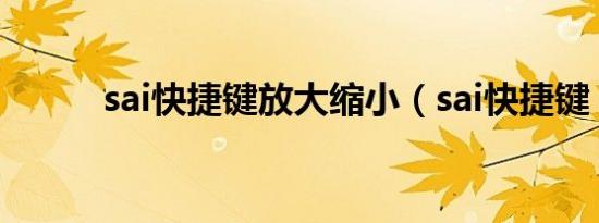 sai快捷键放大缩小（sai快捷键）