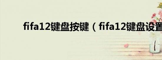 fifa12键盘按键（fifa12键盘设置）