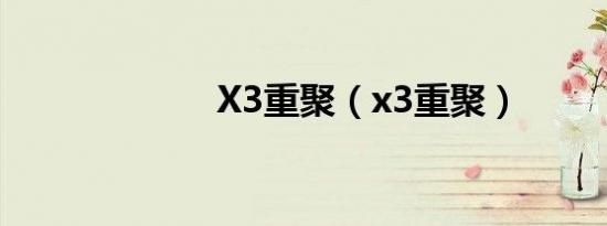 X3重聚（x3重聚）